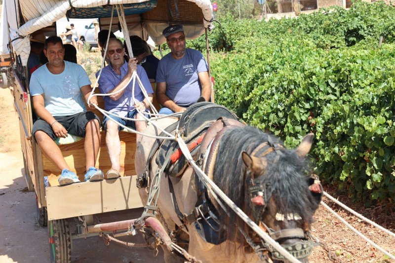 La presentació i l’entrada de la murta aporten l’ambient a l’arranc de les festes de Llíber La presentació i l’entrada de la murta aporten l’ambient a l’arranc de les festes de Llíber
